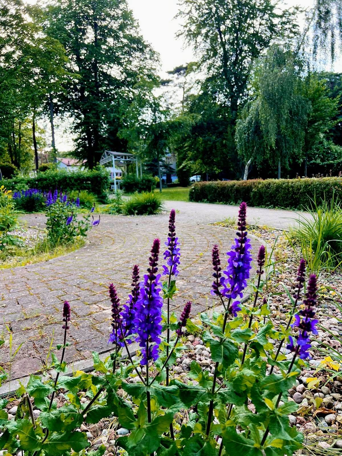 Hacjenda Dziwnów — fotografia 10